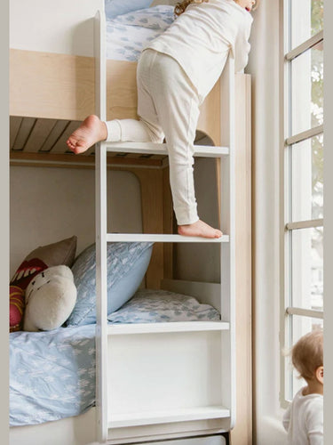 Vertical Ladder