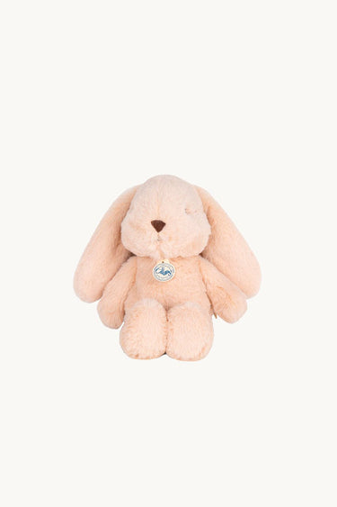 Bubbles the Bunny